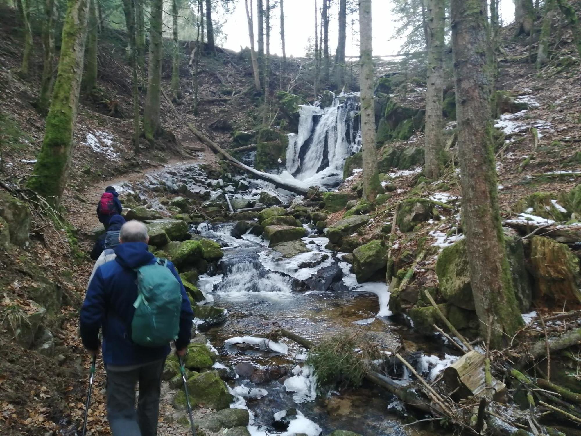 Blackforest Perla โฮเคนชวันด์ ภายนอก รูปภาพ