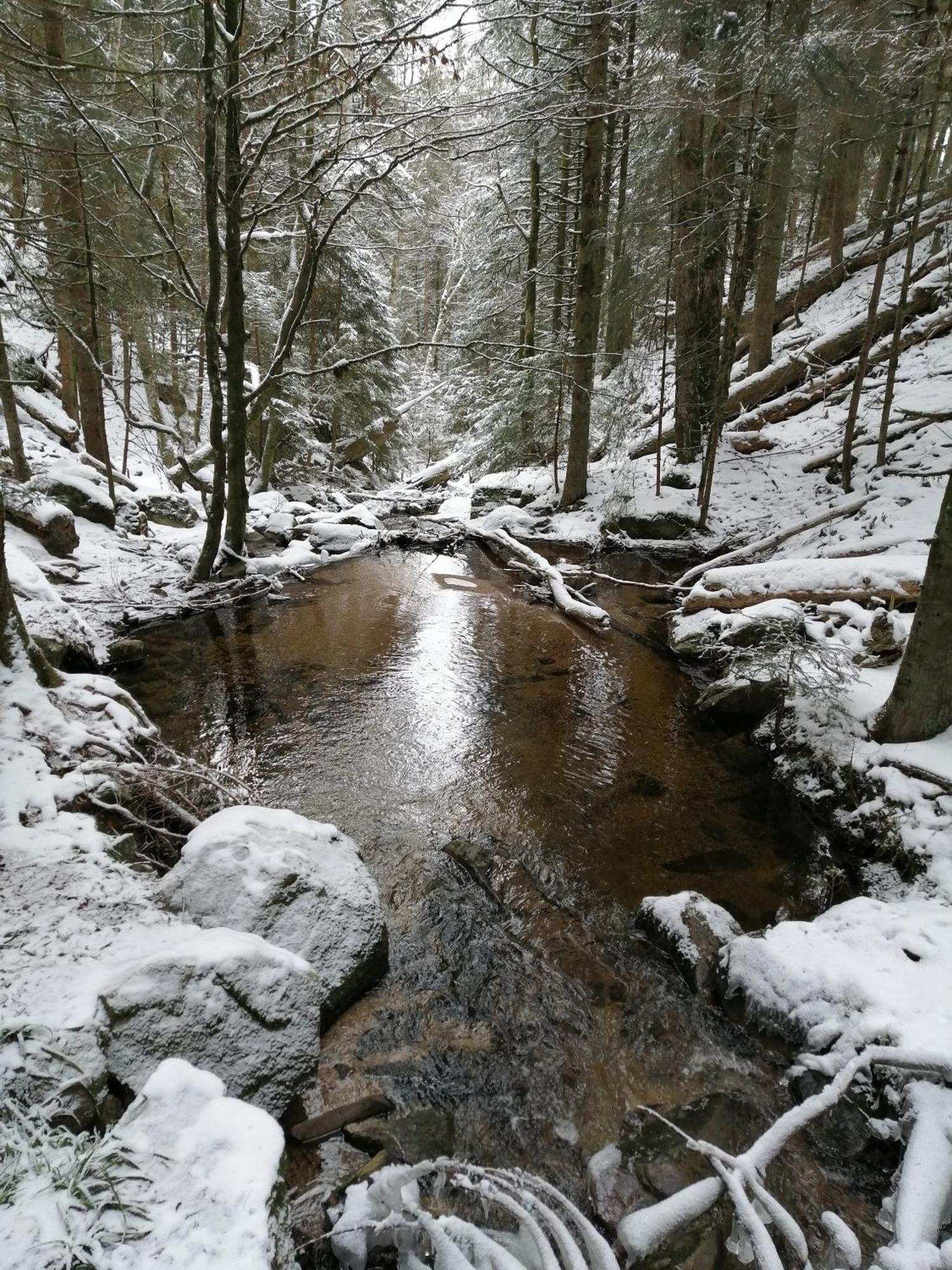 Blackforest Perla โฮเคนชวันด์ ภายนอก รูปภาพ