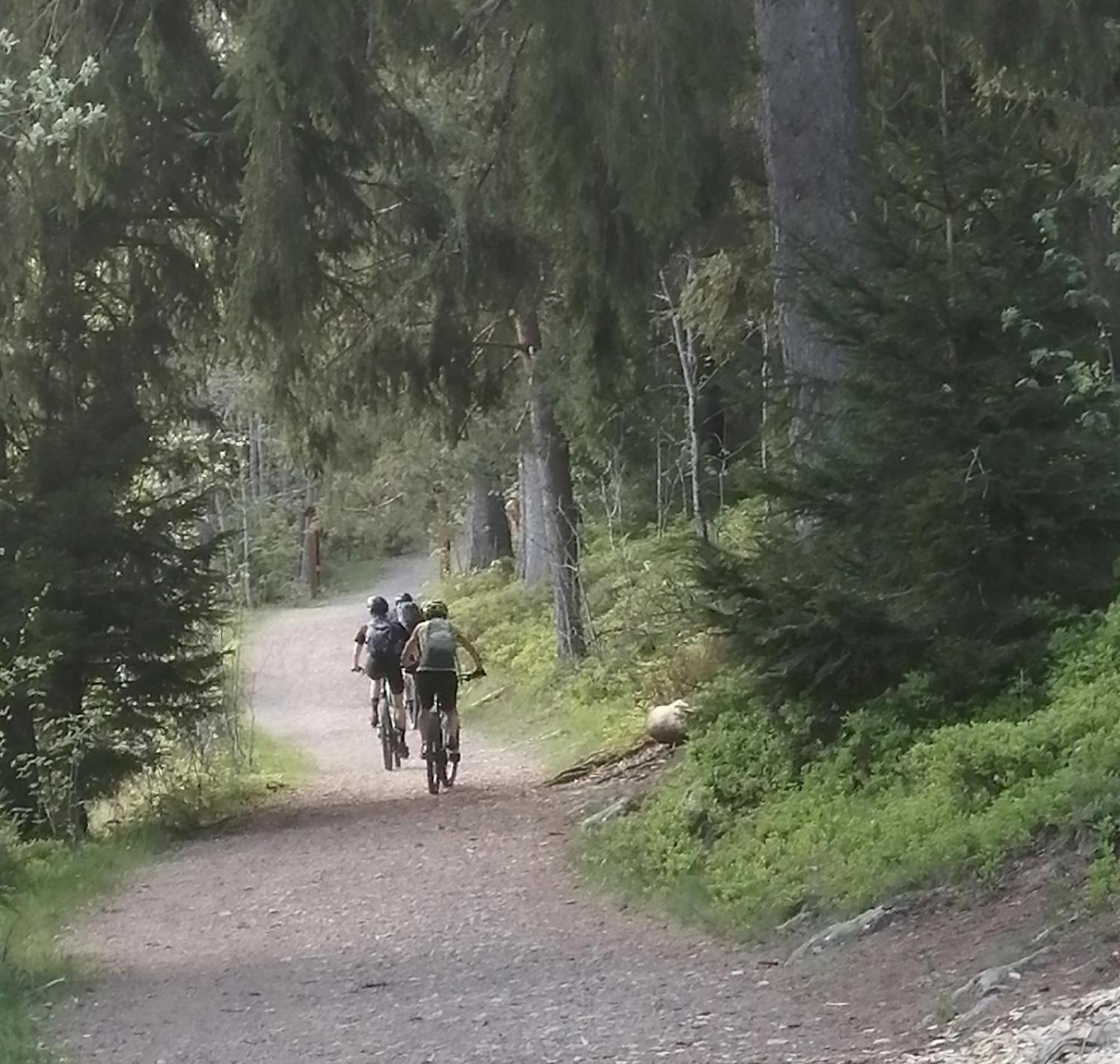 Blackforest Perla โฮเคนชวันด์ ภายนอก รูปภาพ